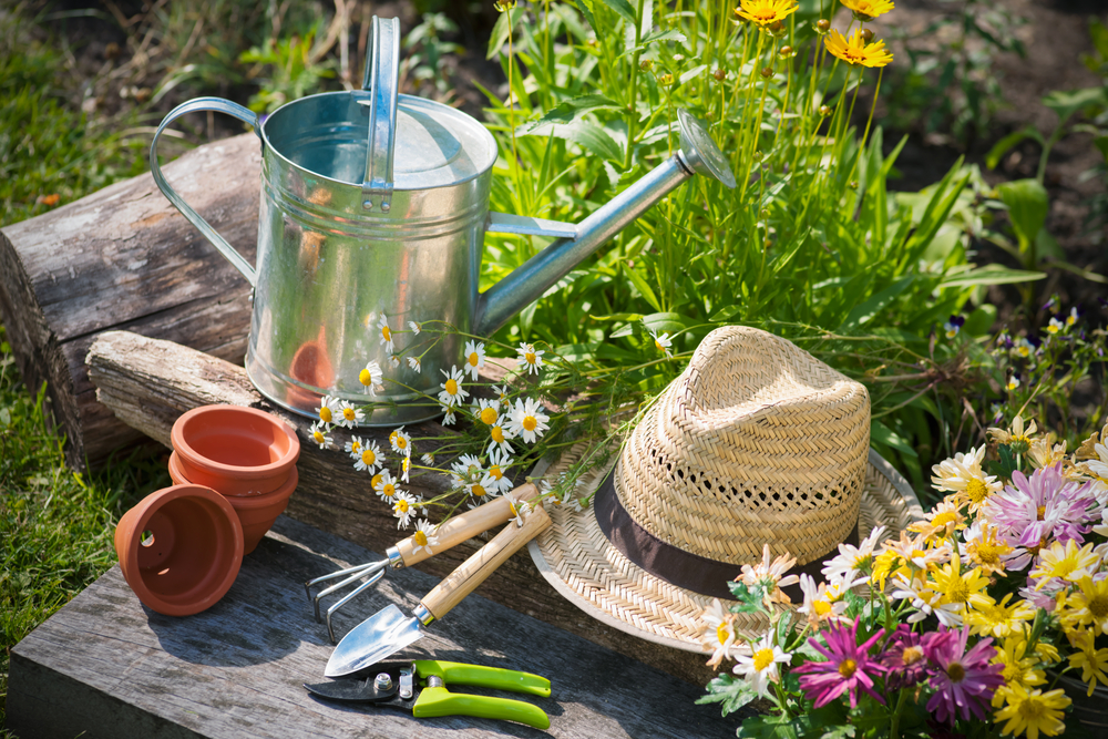 Garden Therapy: Καλλιεργήστε το δικό σας φαρμακείο