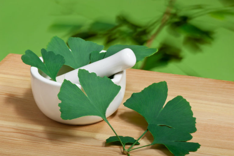 Στο εναλλακτικό μικροσκόπιο το Ginkgo biloba | vita.gr Στο εναλλακτικό μικροσκόπιο το Ginkgo biloba | vita.gr