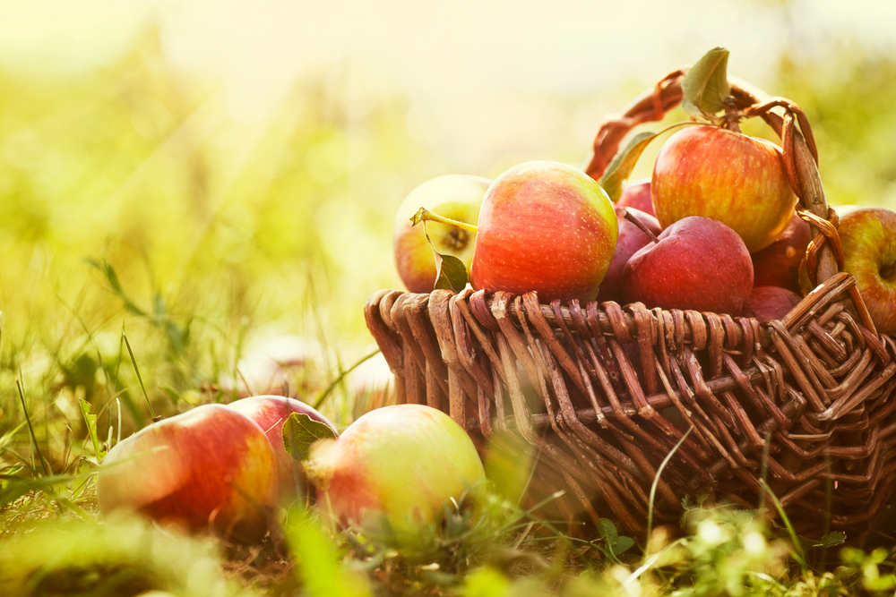 Πώς θα διατηρηθούν περισσότερο τα μήλα;