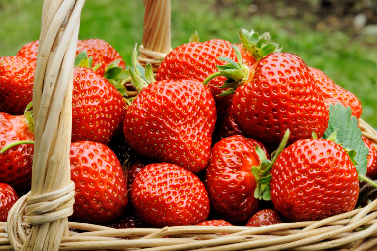 Οι φράουλες ρίχνουν τη χοληστερίνη | vita.gr
