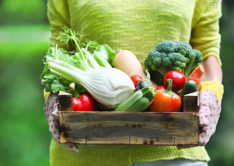 Quiz. Πόσο καλά γνωρίζετε τα λαχανικά; | vita.gr