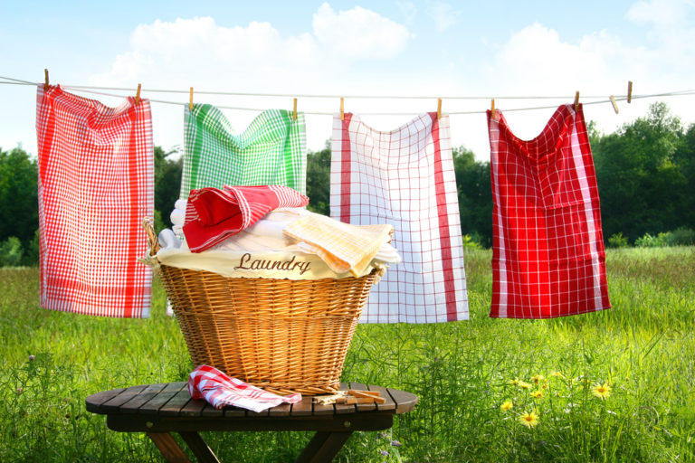 Κάθε πότε να πλένουμε τις πετσέτες, το σουτιέν και τον… σκύλο; | vita.gr