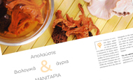 Aπολαύστε βιολογικά & άγρια μανιτάρια | vita.gr
