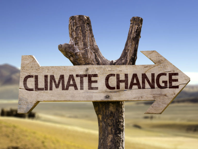 Κλιματική αλλαγή vs υγείας | vita.gr