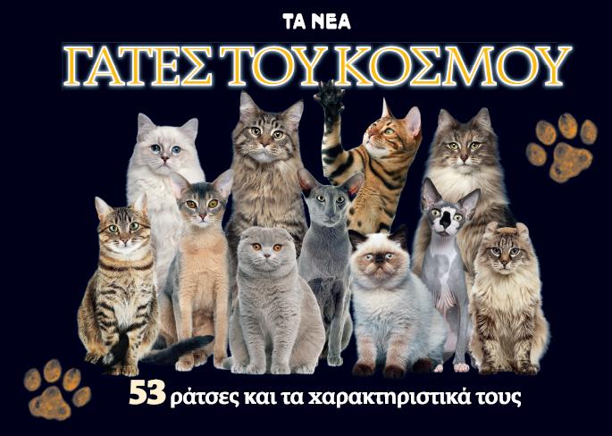 5 λόγοι για να πάρετε γάτα!