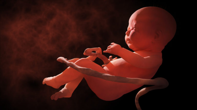 Η τροποποίηση στο DNA εμβρύων είναι γεγονός | vita.gr