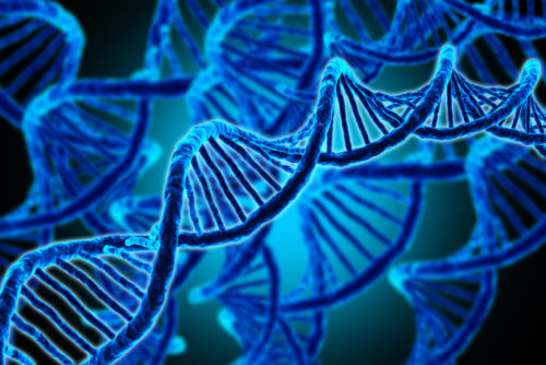 Τέλος στις ρυτίδες και τα γκρίζα μαλλιά;