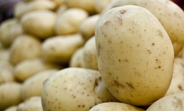 Έρχονται οι μεταλλαγμένες πατάτες | vita.gr