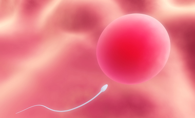 Νέο τεστ καταλληλότητας σπέρματος | vita.gr