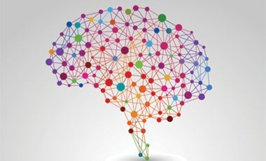 O πρώτος 3D χάρτης του εγκεφάλου | vita.gr