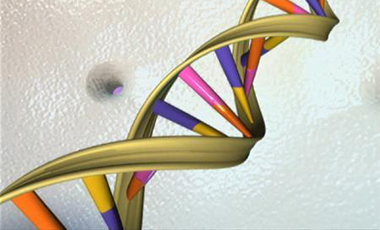 Το DNA κουβαλάει τις μνήμες της παιδική μας ηλικίας