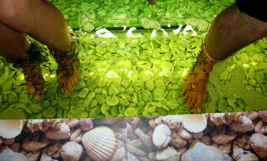 Fish spa: η νέα μόδα