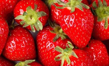 Οι βιολογικές φράουλες καλύτερες | vita.gr