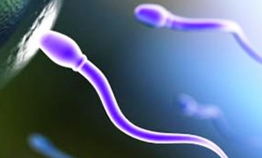 Υγιείς απόγονοι από τεχνητό σπέρμα | vita.gr