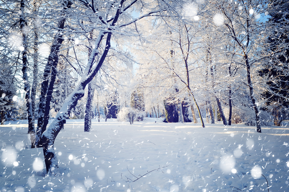 «Λευκά» Χριστούγεννα : Πού θα χιονίσει