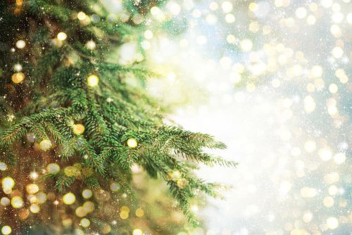 Χριστουγεννιάτικο δέντρο: Αληθινό ή ψεύτικο;