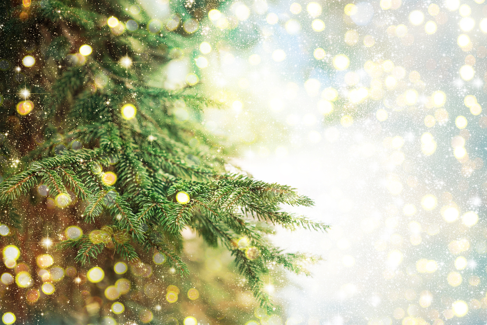 Χριστουγεννιάτικο δέντρο: Αληθινό ή ψεύτικο;