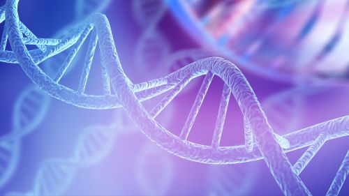 DNA: Όλα όσα πρέπει να γνωρίζουμε