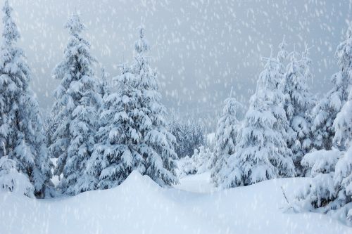 Πολικές θερμοκρασίες και χιόνια φέρνει η Ζηνοβία