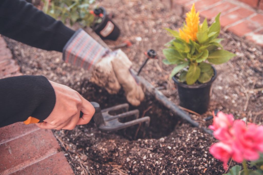 Τέλειες συμβουλές για να φτιάξεις τον κήπο σου