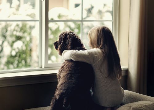 Παιδί και σκύλος: Έτσι θα μάθουν να παίζουν σωστά