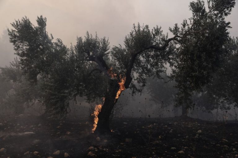 Κεχριές Κορινθίας: Σε εξέλιξη για τρίτη μέρα η φωτιά | vita.gr