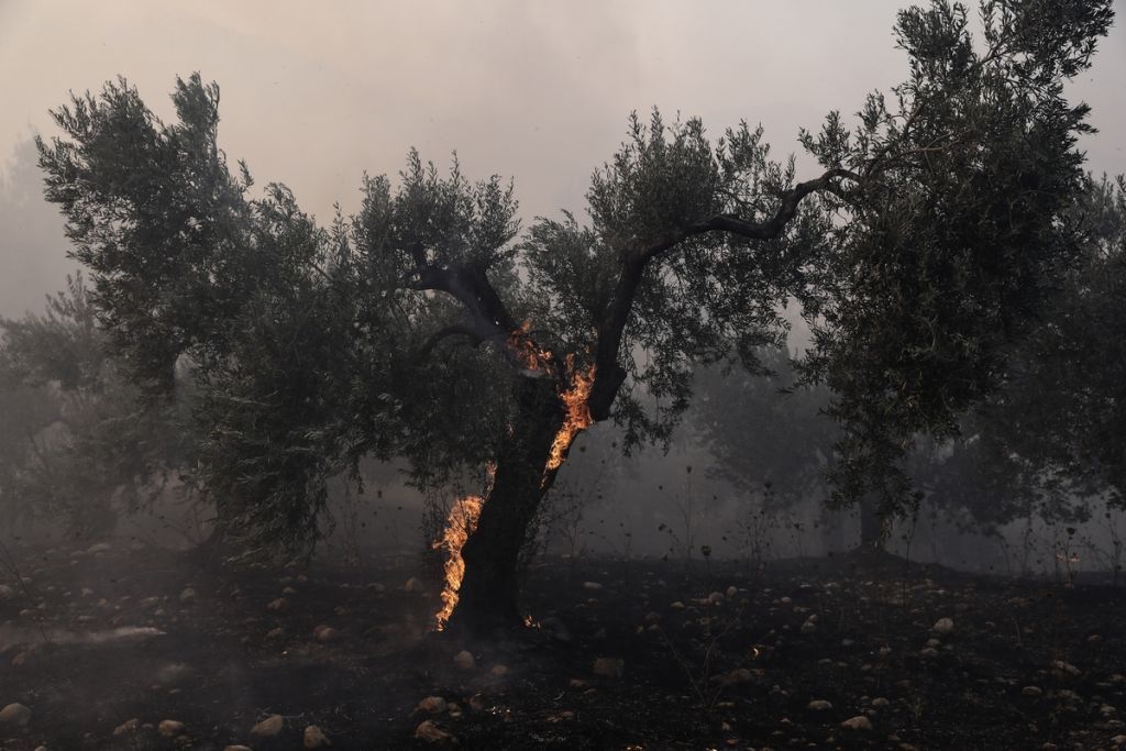 Κεχριές Κορινθίας: Σε εξέλιξη για τρίτη μέρα η φωτιά