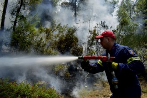 Σε εξέλιξη η φωτιά στις Κεχριές – Οριοθετήθηκε το μέτωπο στο Γραμματικό