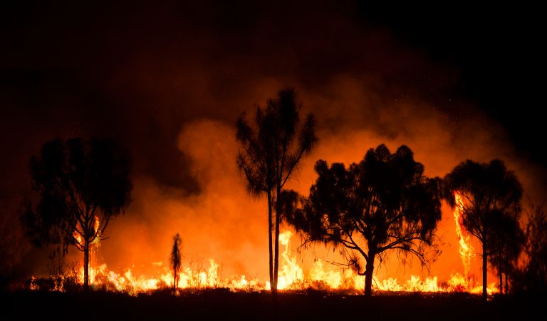 Προειδοποίηση για πολύ υψηλό κίνδυνο πυρκαγιάς – Δείτε το χάρτη | vita.gr
