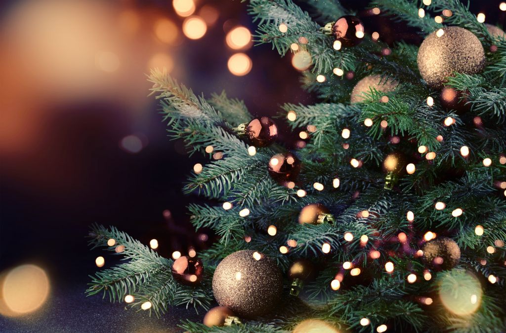 Χριστουγεννιάτικο δέντρο: Πώς γεννήθηκε η παράδοση