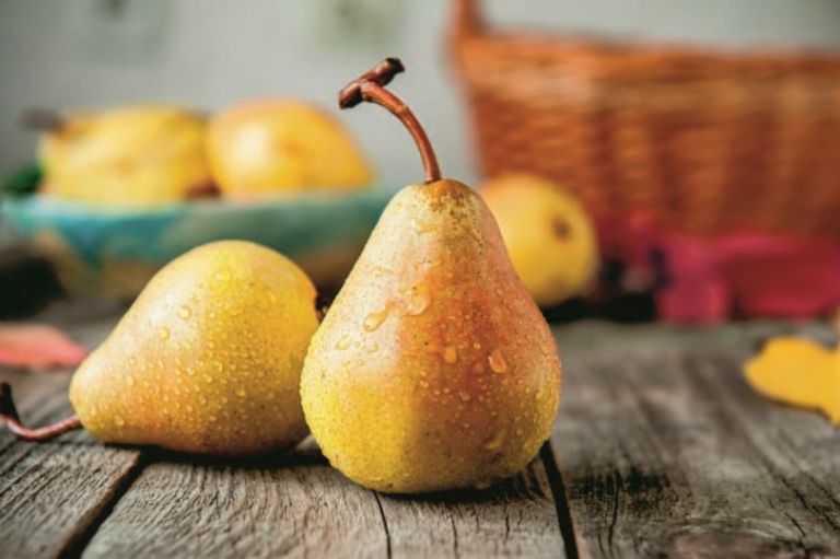 Αχλάδια – 4 εκπληκτικά οφέλη που έχουν για την υγεία μας | vita.gr