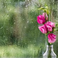 Χαλάει ο καιρός: Βροχές, καταιγίδες και πτώση της θερμοκρασίας