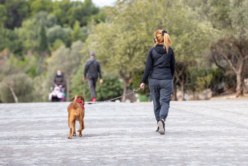 Lockdown: Τι αλλάζει στην μετακίνηση 6 για το Σαββατοκύριακο