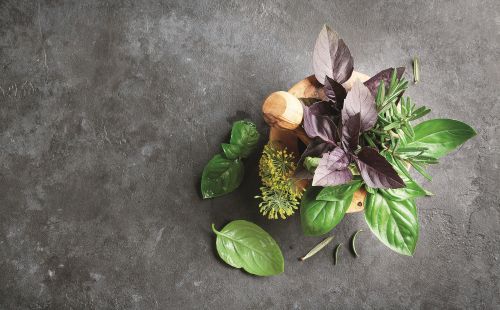 Μυρωδικά βότανα: Θησαυρός για την υγεία