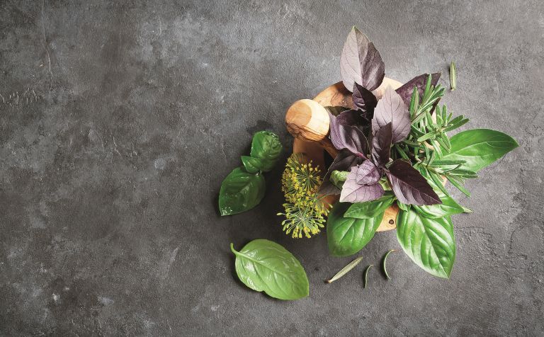 Μυρωδικά βότανα: Θησαυρός για την υγεία | vita.gr