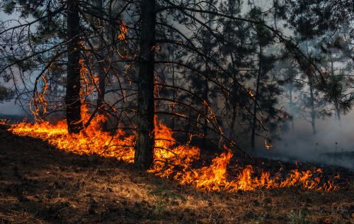 Κλιματική αλλαγή – «Κόκκινος συναγερμός για ολόκληρη την ανθρωπότητα»