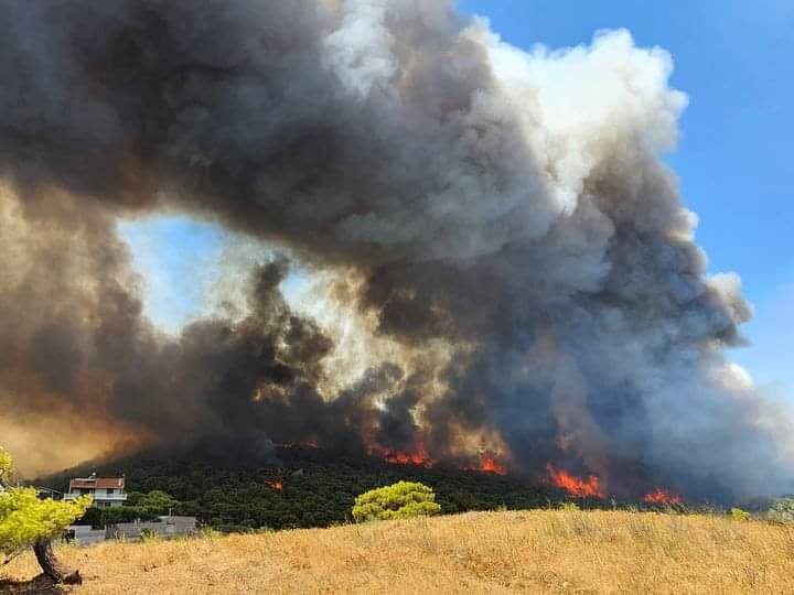 Μεγάλη φωτιά σε εξέλιξη στην Κερατέα - «Μάχη» να μην φτάσει στον εθνικό δρυμό