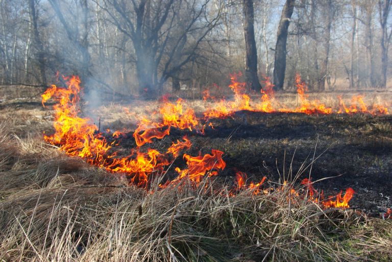 Ακραίος κίνδυνος πυρκαγιάς σχεδόν σε όλη τη χώρα – Πώς να προστατευθούμε | vita.gr