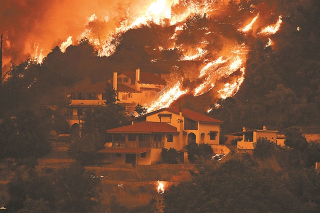 Αρκάς – Συνταρακτικό σκίτσο για τις καταστροφικές πυρκαγιές | vita.gr