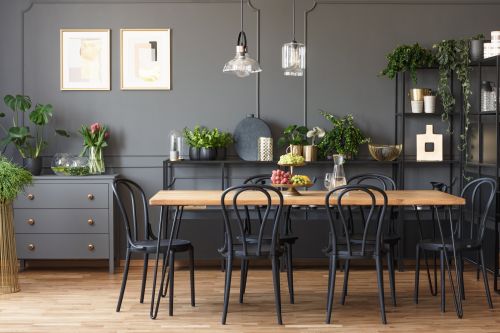 Home deco – Ποια φυτά είναι ιδανικά για τους εσωτερικούς σας χώρους;