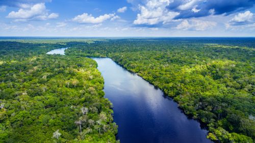 Αμαζόνιος – Μήπως αργοπεθαίνουν χωρίς επιστροφή οι «πνεύμονες» της Γης;