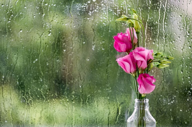 Άστατος ο καιρός σήμερα – Ο «Μπάλλος» φεύγει, οι βροχές παραμένουν | vita.gr