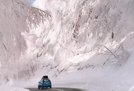 Viral: Αυτός ο παραμυθένιος χιονισμένος δρόμος είναι στην Ελλάδα
