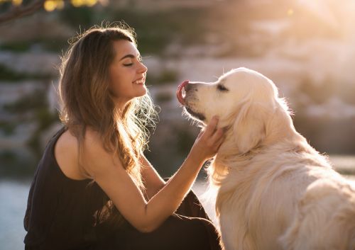 Σκύλοι μυρίζουν τον κορωνοϊό στους ανθρώπους