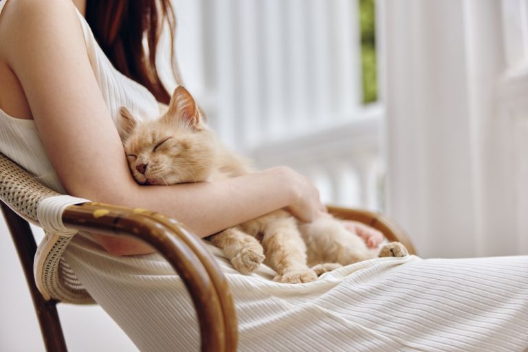 Μελέτη: Η επαφή με τις γάτες μειώνει το στρες | vita.gr