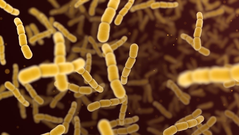 Ανθεκτικά βακτήρια: Ποια νέα μέθοδος τα... πολεμά;