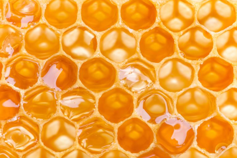 Μέλι: Πόσο καλό είναι για την υγεία μας; | vita.gr