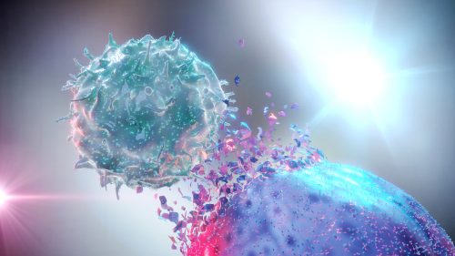 Καρκίνος: Οι επιστήμονες βρήκαν πώς να εμποδίσουν πρωτεΐνη που προκαλεί το 75% των όγκων