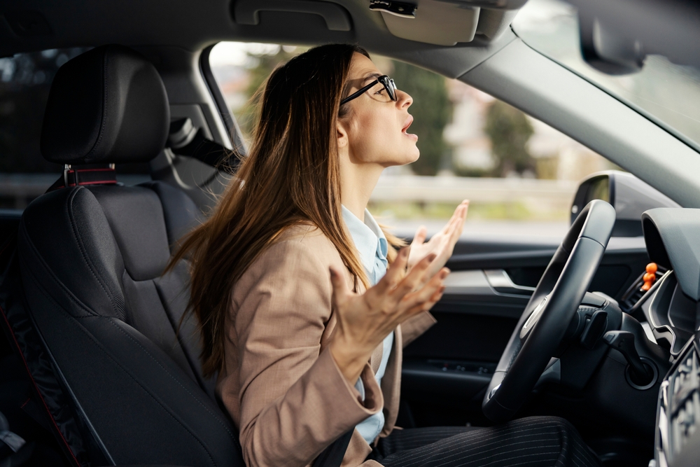 Road rage: Ακόμη και τα πουλιά το παθαίνουν - Τι μας κάνει η κίνηση