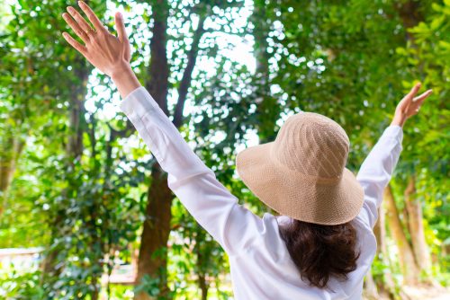Forest bathing: Με συνταγογράφηση πλέον οι περίπατοι στη φύση;